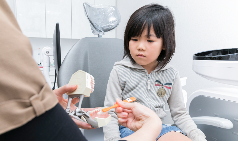 歯磨き指導・食事に関するアドバイス